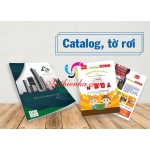 In Catalogue Nên Chọn Offset Hay Kỹ Thuật Số? | Phân Tích Chuyên Sâu