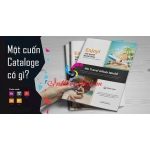 Dịch Vụ In Catalogue Giá Rẻ Tại Hà Nội | Giải Pháp Tối Ưu