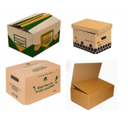  In Hộp Bìa Cứng Chuyên Nghiệp