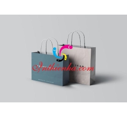 In Túi Giấy Giá Rẻ tại Hà Nội – Báo Giá In Số Lượng Ít theo yêu cầu