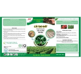 In Tem Nhãn Decal Dán Bao Bì Hà Nội Chất Lượng Cao 2026