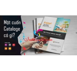 Dịch Vụ In Catalogue Giá Rẻ Tại Hà Nội | Giải Pháp Tối Ưu