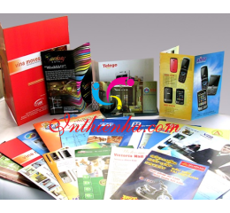 Dịch Vụ In Ấn Offset Tại Hà Nội | Chuyên Nghiệp, Giá Tốt