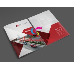 In Profile công ty đẹp giá rẻ tại Hà Nội 2021 lấy ngay [Thiết kế miễn phí]