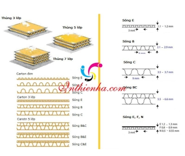 Các loại sóng trong sản xuất thùng carton được sử dụng phổ biến nhất