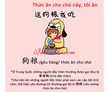 Cẩu lương là gì theo ý nghĩa Trung Quốc? Cơm chó là gì – Lý giải