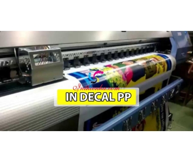 Decal pp là gì? Tại sao lại được sử dụng phổ biến? Giá có đắt không?