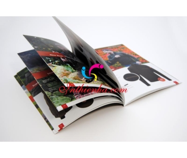 In Catalogue giá rẻ lấy ngay tại Nam Định theo yêu cầu – thiết kế miễn phí