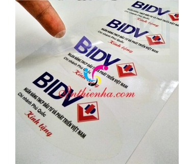 In decal nhựa giá rẻ / Chỉ 80đ/c lấy ngay tại Hà Nội