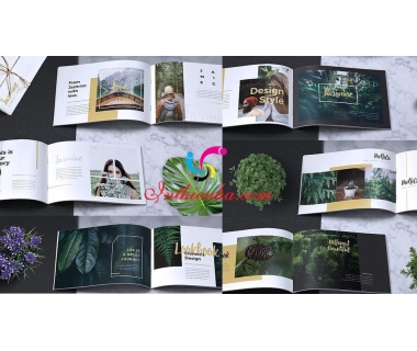 Địa chỉ in tạp chí giá rẻ tại Hà Nội lấy ngay theo yêu cầu