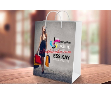 Xưởng in túi giấy Shop đựng quần áo thời trang giày dép giá rẻ tại Hà Nội