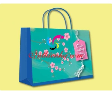 In túi giấy đựng quà Tết đẹp giá rẻ tại Hà Nội mẫu mới 2022