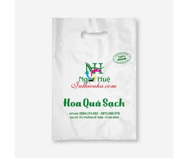 In túi ni lông đựng hoa quả giá rẻ tại Hà Nội / lấy ngay thiết kế miễn phí