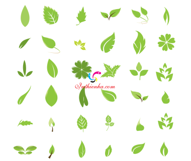 Hình ảnh Lá Cây file Vector, Png, PSD, AI đẹp tải về miễn phí