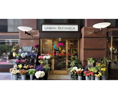 199+ Mẫu biển quảng cáo shop hoa tươi [Sang Nhất] Việt Nam