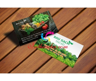 Mẫu Card visit cửa hàng rau, thực phẩm sạch [983+ Mẫu đẹp]
