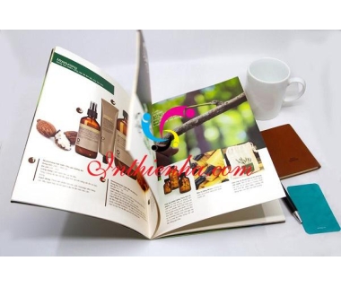 Mẫu catalogue giới thiệu sản phẩm thiết kế sáng tạo chuyên nghiệp