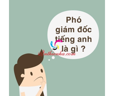 Phó tổng giám đốc tiếng anh là gì: Định nghĩa, ví dụ chính xác
