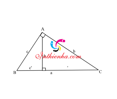 Các hệ thức lượng trong tam giác vuông [thường] chuẩn nhất