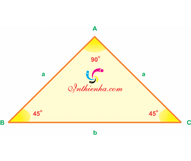 Tính chất đường trung tuyến tam giác [vuông, cân thường, vuông, đều]