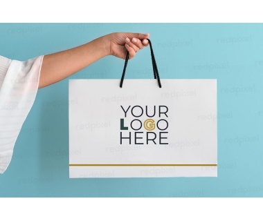 Túi giấy in logo công ty giá rẻ, lấy ngay, uy tín tại Hà Nội