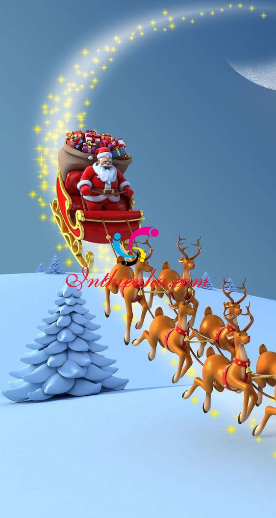 Hình Nền Giáng Sinh, Noel 2021 File Vector Đẹp Nhất Cho Điện Thoại Máy Tính