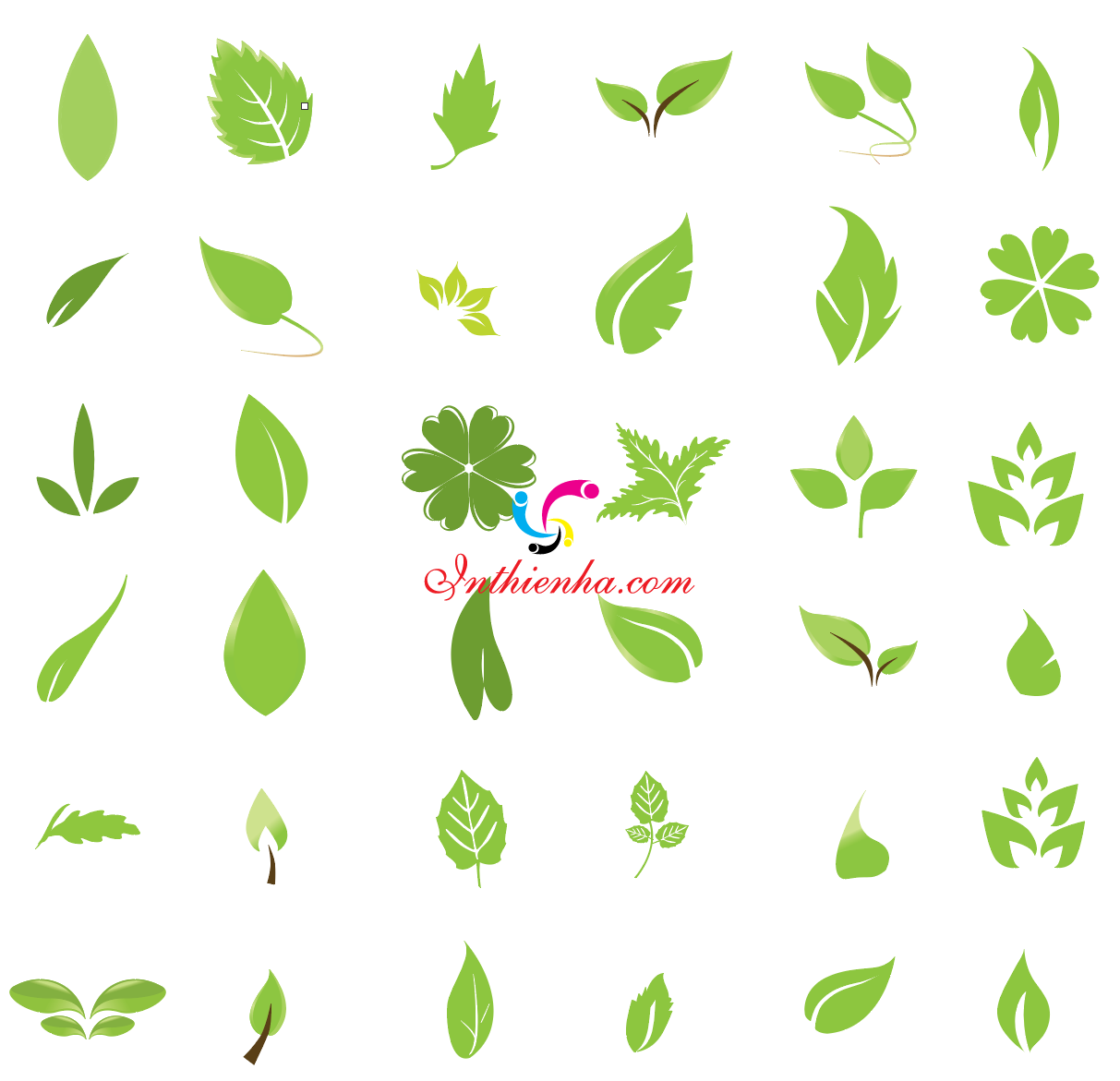 Beautiful Leaves Image Vector, Png, PSD, AI Free Download