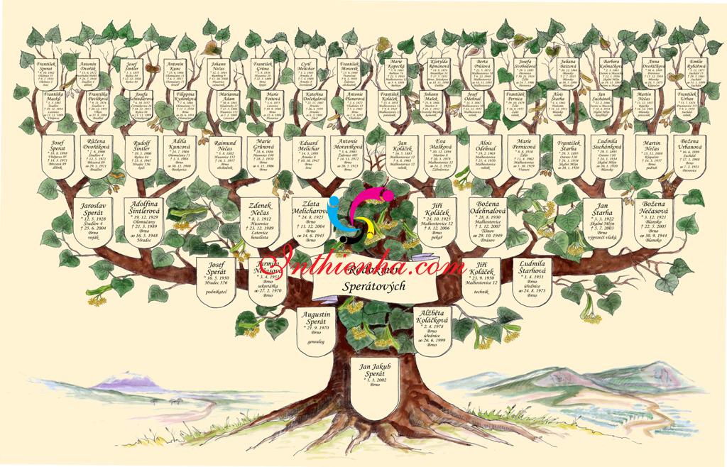 Nếu bạn muốn tìm hiểu về lịch sử gia đình của mình, mô hình cây gia phả sẽ giúp bạn nắm rõ hơn về nguồn gốc và quan hệ họ hàng của gia đình. Hãy xem ảnh liên quan đến mô hình cây gia phả để cảm nhận sự phong phú và độc đáo của gia phả.